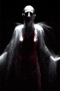 Bill Viola, Digital grab